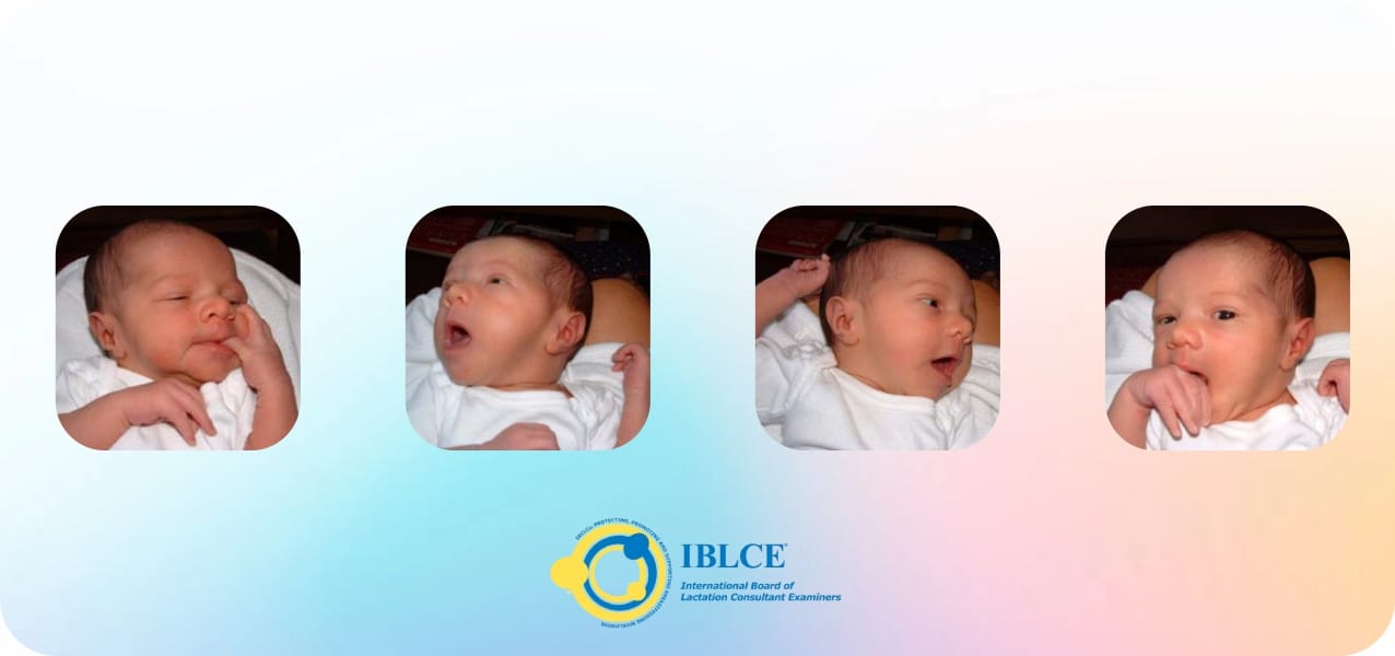 Information for breastfeeding-IBCLC