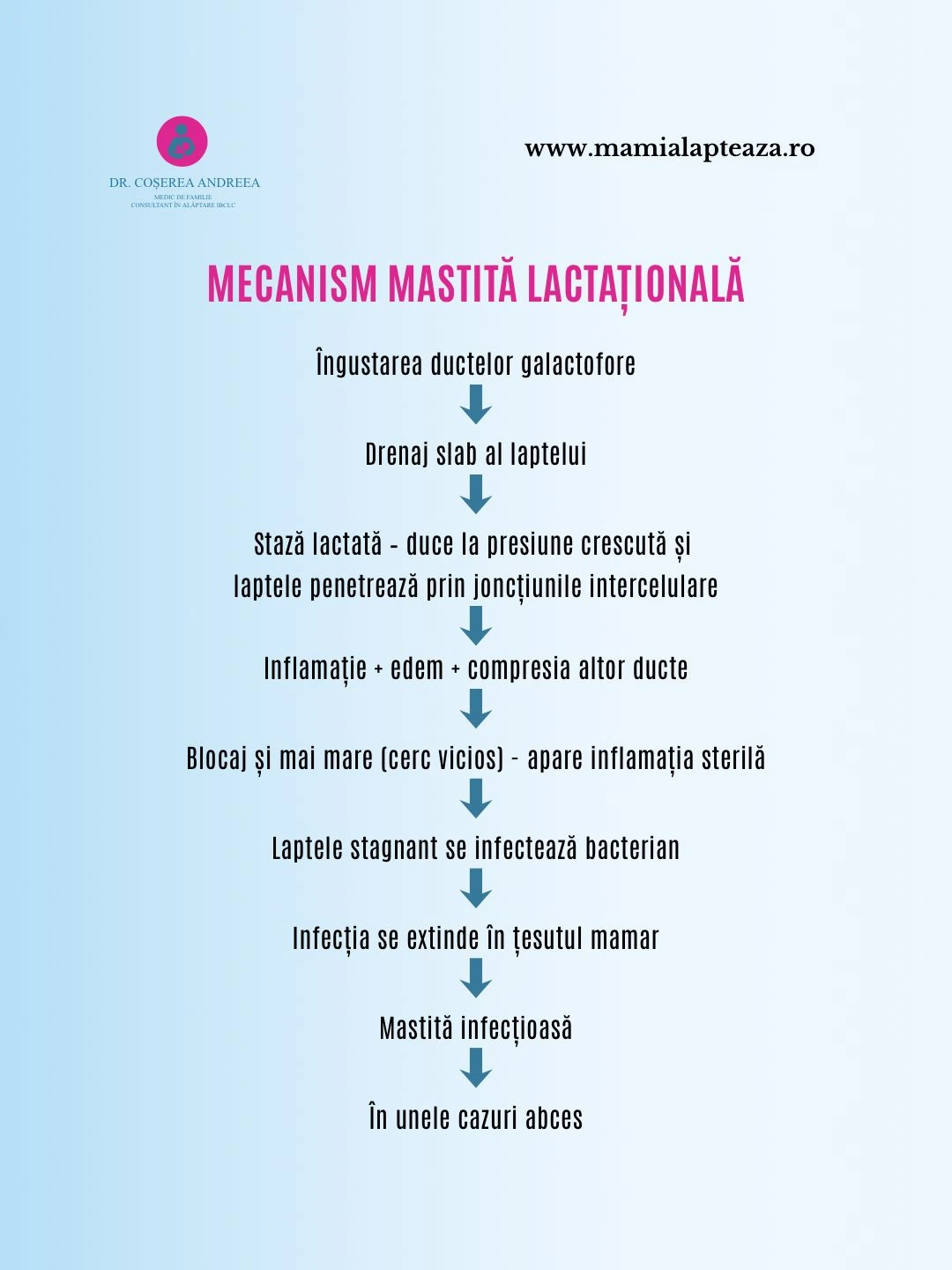 Mecanismul mastitei lactaționale – de la stază lactată la mastită infecțioasă