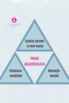 Triada galactocelului